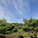 한울(제니스월드)