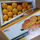 귤림하우스 이미지