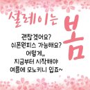 다함께 점핑점핑 이미지