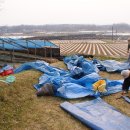 서원농장 이미지