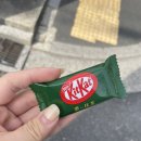 중화산2동-02(인정공원) | 26/02/14 도쿄여행, 나들이 가기 좋은 우에노 공원 , 도쿄국립박물관, 일본 7일차