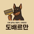 송정우방아이유쉘 이미지