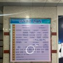 반디동물병원 | 부평카페 데이트 코스로 강추 l 이색 힐링카페 미타임