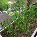 고신농장 이미지