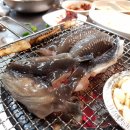 장원아나고 이미지