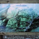 수산리-1 이미지