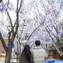 용산-106 이미지