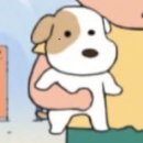 꽃길걷개 이미지