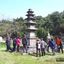 신룡동 오층 석탑 이미지