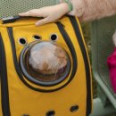 소랑동물병원 이미지