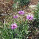 강변이야기펜션 이미지