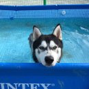 허숙희네 이미지