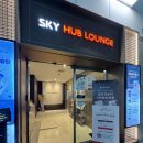 스카이허브 이미지