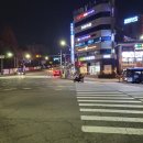 와일드블라썸