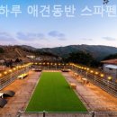 터 애견펜션 이미지