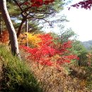 행운공인중개사 Daum카페
