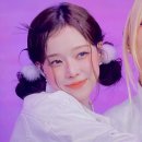 니피 이미지