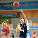 성남수정초등학교 이미지