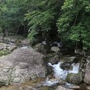 남창계곡사계절온천펜션 이미지