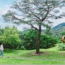 성문안CC클럽하우스사우나 네이버블로그
