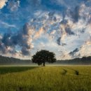 대길농장 이미지