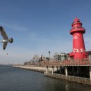 골든아쿠아펫 이미지