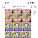 애견카페 애견유치원 펫레터 이미지