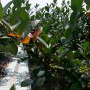 정대농장 이미지