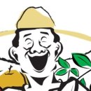 경주 체리 이미지