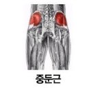 애플힙 짐 이미지