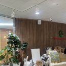 수하우스 | 안양 베이비하우스 카시트 구매 후기