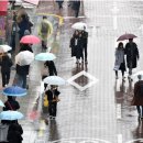 진주(부산) 이미지