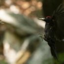 엄마밥줘 이미지