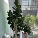 청아의원 이미지