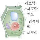 시중의 홍삼제품을 브랜드들 중심으로 품질비교를 자세히 해보겠습니다 이미지