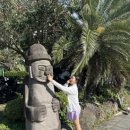 서귀포시 테니스공원 이미지