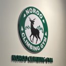 노루 | 대구 노루클라이밍 진천 볼더링 난이도 후기