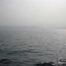 동해참가자미 이미지