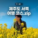 스포츠파크 해안도로 | 제주 서쪽 가볼만한곳 제주도 여행코스 애월 협재 유채꽃 명소