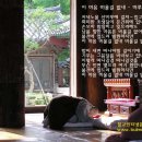 머루와 다래 이미지