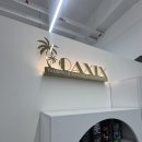 스타브론즈 홍대 | [영종도왁싱] 20년 경력 금손 원장님의 명품 케어, 오아시스 영종 방문기