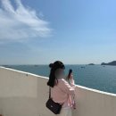 정조로 | 코닥 필름 카메라 m35 후기, 수원칼라필름현상소
