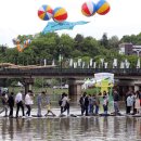 담양대나무축제 이미지