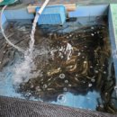 유산길50 이미지