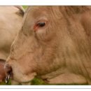 주식회사우성사료 이미지