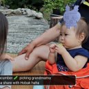 삼닭농장 네이버블로그