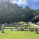 성사동 권희선생묘 이미지