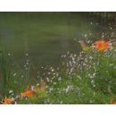 수성유원지(상화동산) 이미지