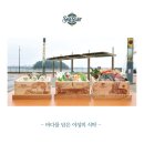 씨스타(seastar)