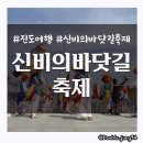 진도여라 | 진도 여행 중 구경한 진도 신비의 바닷길 축제 후기